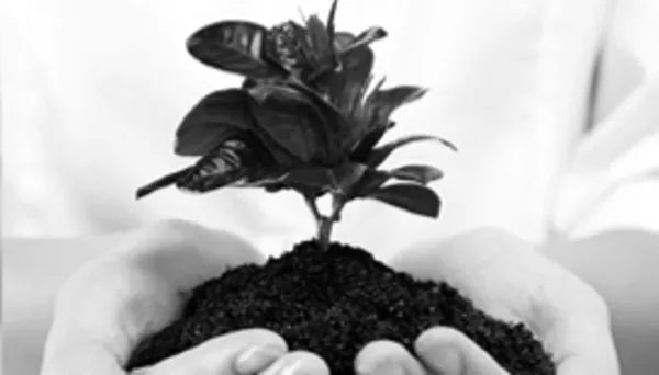 Продам ТОВ без НДС (Шевченковский р-н). 