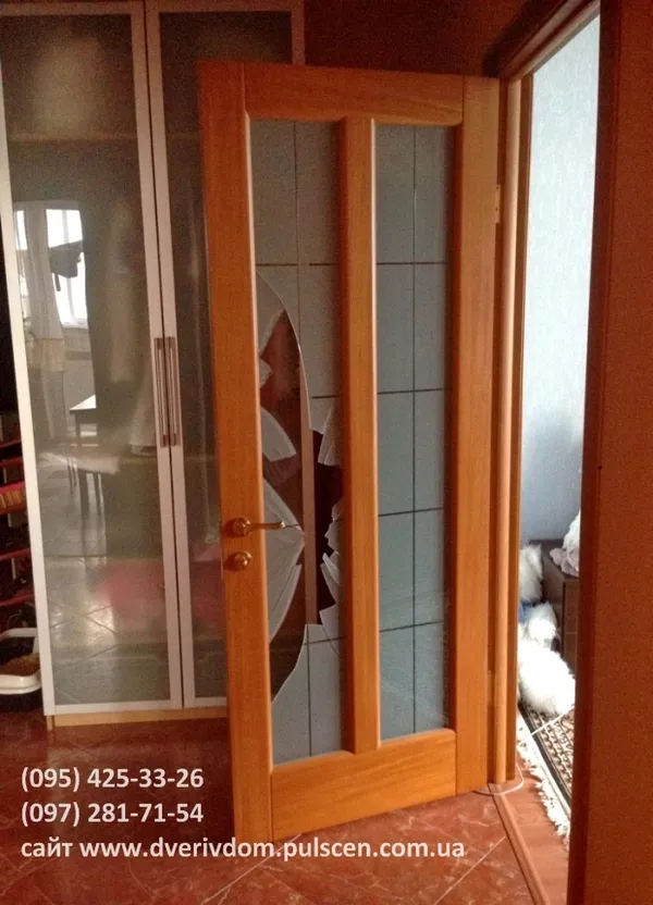 Замена разбитого стекла в двери Киев недорого 2