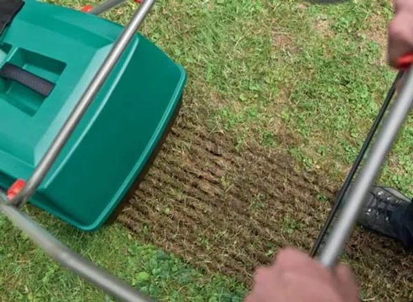 Мобильный садовник 2