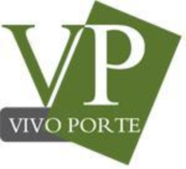 Новый лидер межкомнатных дверей премиум-класса VIVO-PORTE 7