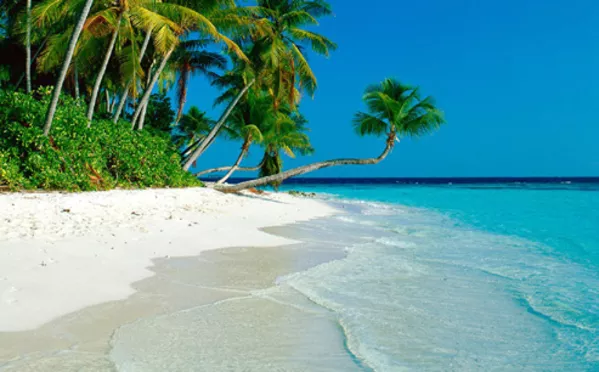 Туры в Таиланд,  Шри-Ланку,  Гоа