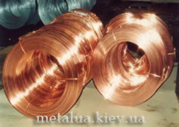 Проволока бронзовая 