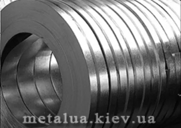 Специальное ограждение Лента колючая Егоза