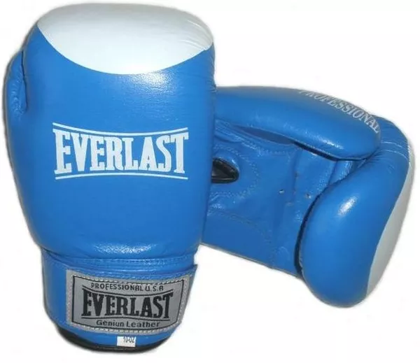 Боксёрские перчатки Everlast, World Sport (кожа)