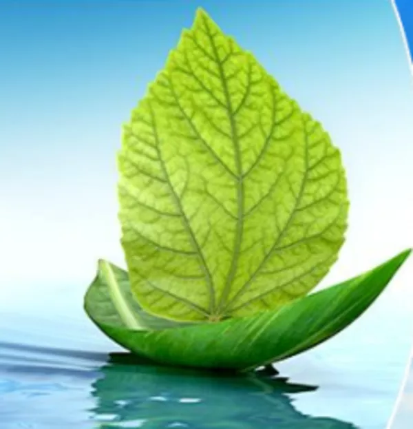 Катализатор REDUXCO 3