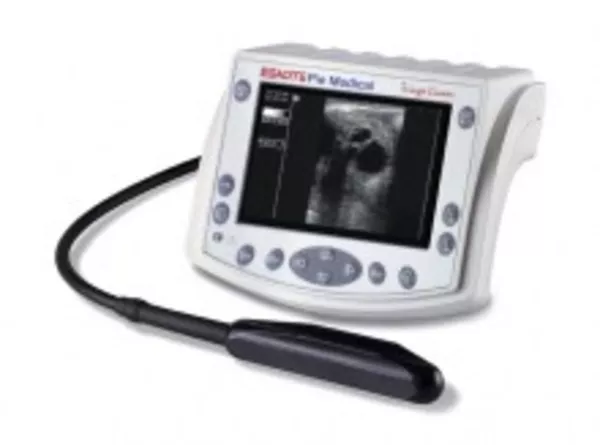 Ультразвуковой сканер Tringa VET