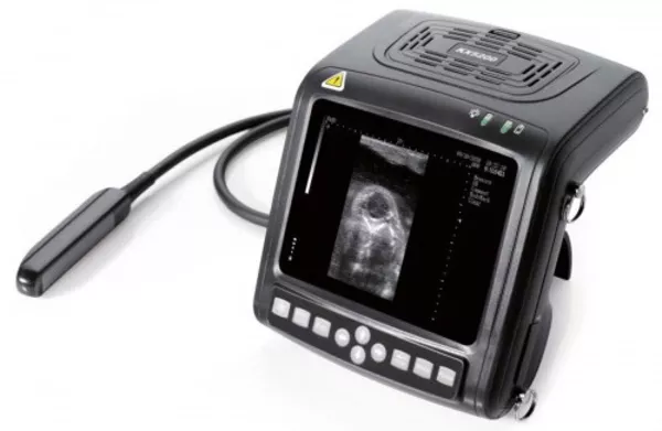 УЗИ аппарат для животноводства KX 5200V