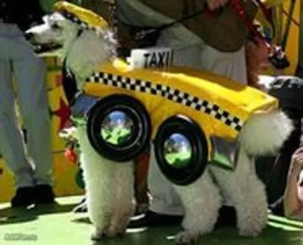 У нас уникальное предложение для такси!!! 5