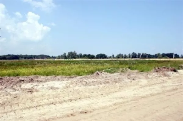 Продам участок 150 соток в Иванкове 2