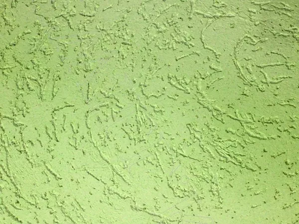 Нанесение короеда Киев 