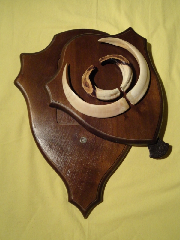 Охотничий VIP-трофей - клыки кабана секача(22х16см) на медальоне. 5