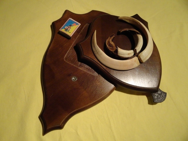 Охотничий VIP-трофей - клыки кабана секача(22х16см) на медальоне. 7