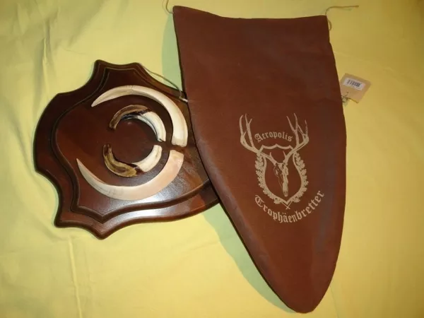 Охотничий VIP-трофей - клыки кабана секача(22х16см) на  медальоне.  10