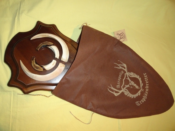 Охотничий VIP-трофей - клыки кабана секача(22х16см) на медальоне. 11