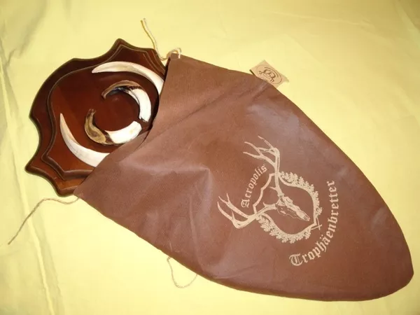 Охотничий VIP-трофей - клыки кабана секача(22х16см) на медальоне. 12