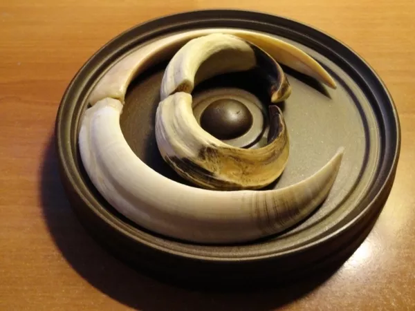 Охотничий VIP-трофей - клыки кабана секача(21, 5х14см) на медальоне. 9