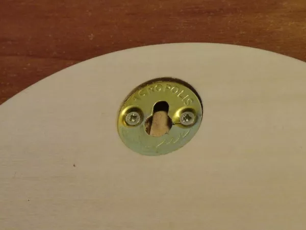 Охотничий VIP-трофей - клыки кабана секача(21, 5х14см) на медальоне. 12