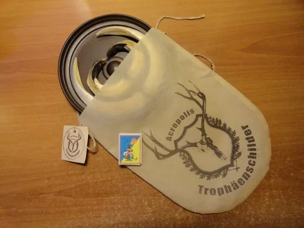 Охотничий VIP-трофей - клыки кабана секача(21, 5х14см) на медальоне. 13