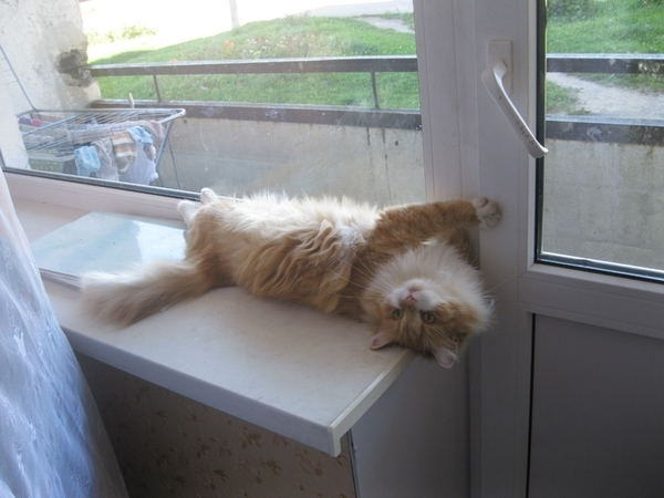 Срочный ремонт дверей Киев,  ремонт металлопластиковых и алюминиевых 