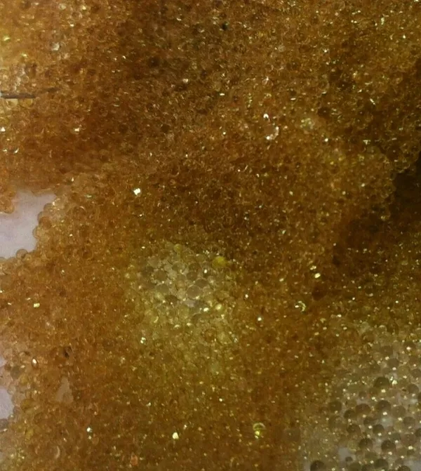 Анионит АН -31 (смола)