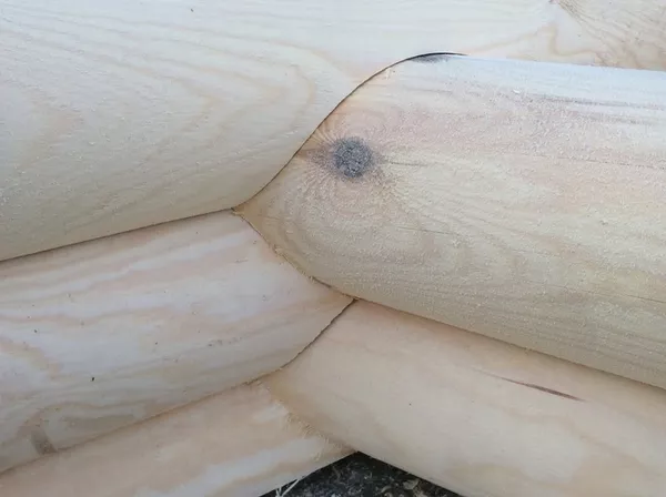 Бревно оцилиндрованное