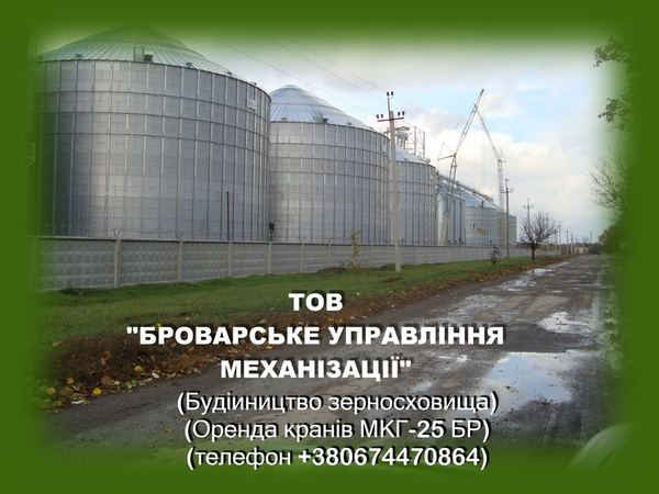 Аренда гусеничного крана МКГ-25БР по Киев и др. города Украины.