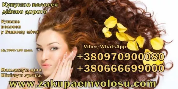 Покупаем волосы в Украине