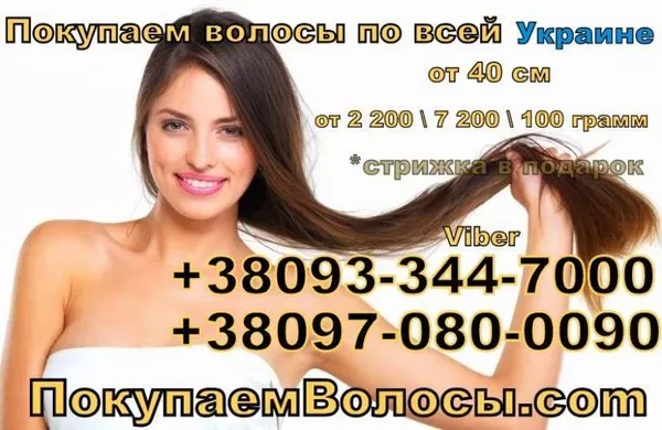 Покупаем волосы в Украине 2