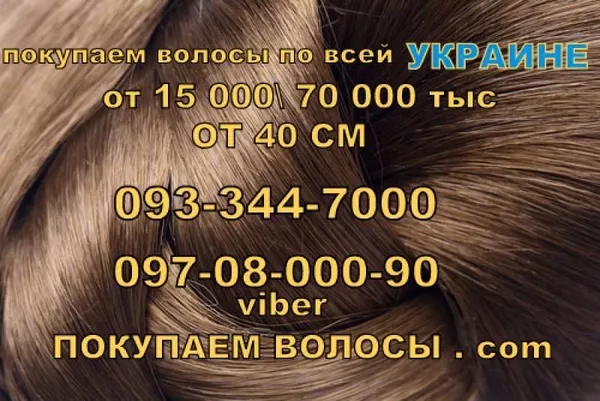 Покупаем волосы в Украине 3