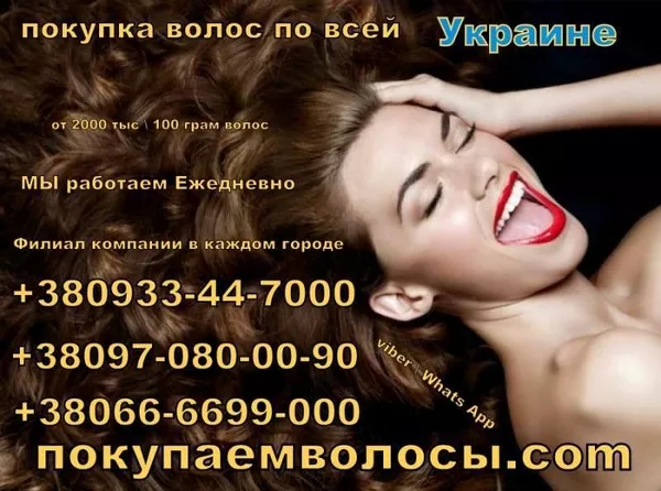 Покупка натуральных волос в Харькове 3