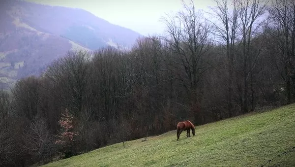 Продам земельный участок с / г – 1 га 36 соток, без комиссии! 2