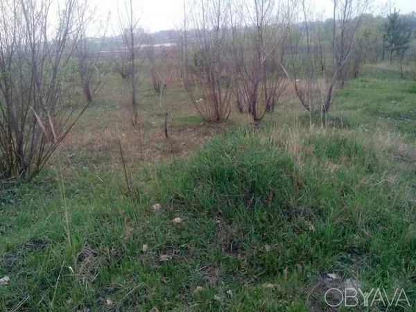 Продам земельный участок 10, 5 соток под застройку жилого дома! 3