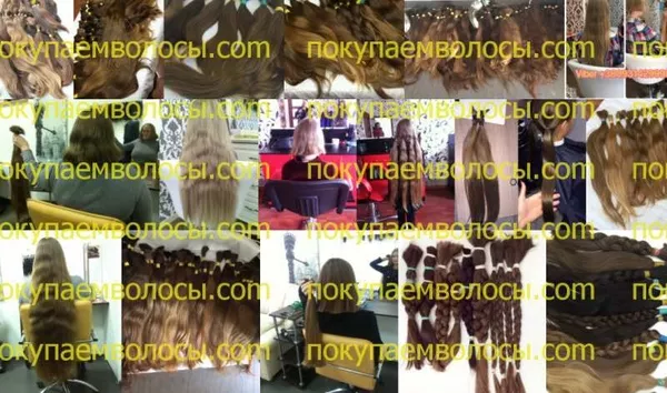 Продать волосы выгодно,  Киев 3