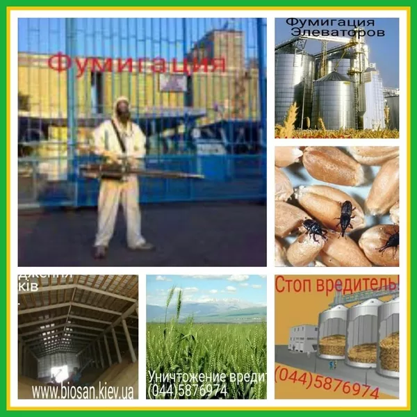 Уничтожение насекомых,  грызунов 5