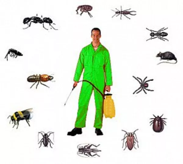 Парафиновые брикеты 