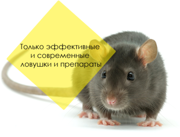 Приманочный контейнер . 3