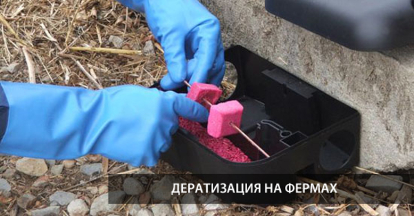 Приманочный контейнер . 4