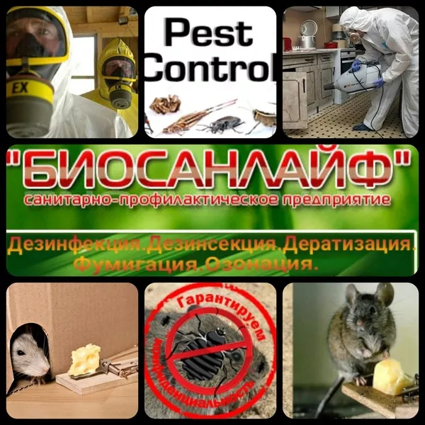 Приманочный контейнер . 7