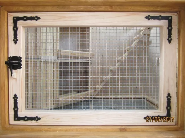 Голубятня 3