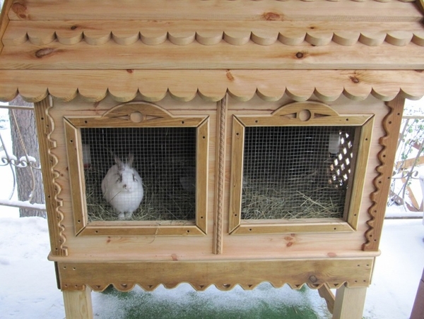 Клетка для декоративного кролика 4