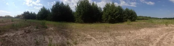 Продам участок с лесом в 19 км от Киева 3