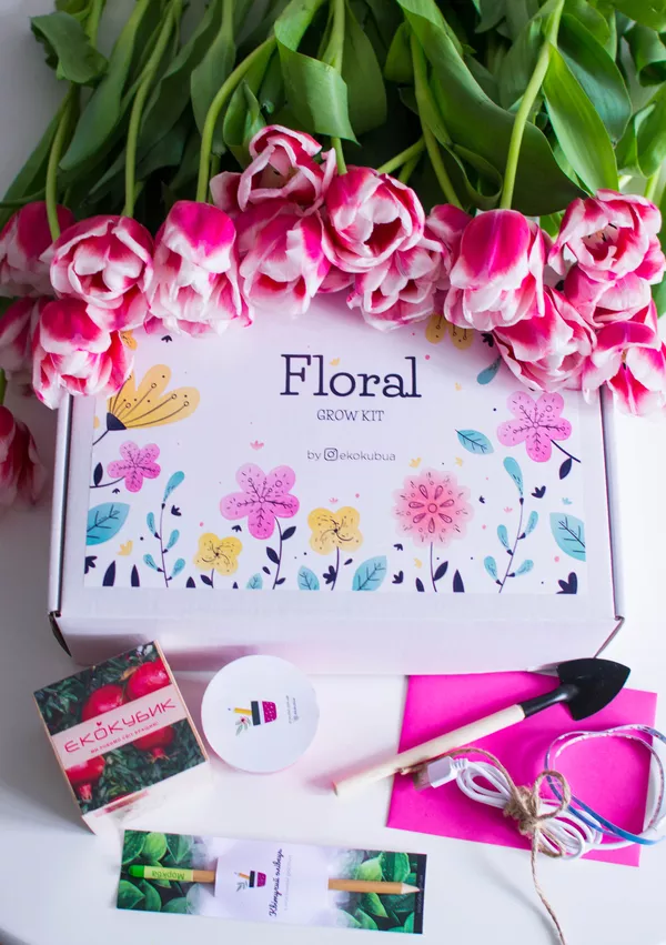 Растущий карандаш, живые карандаши, живая канцелярия от производителя тм Квітучий олівець