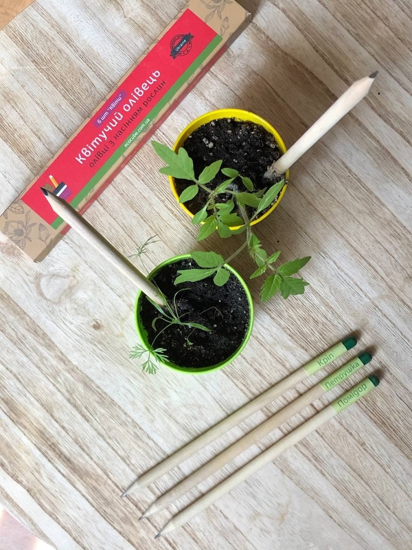 Живая канцелярия от производителя ТМ “Квітучий олівець” - Растущий кар 3