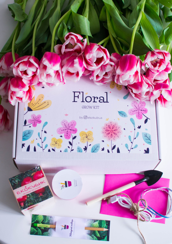 Живая канцелярия от производителя ТМ “Квітучий олівець” - Растущий кар 2