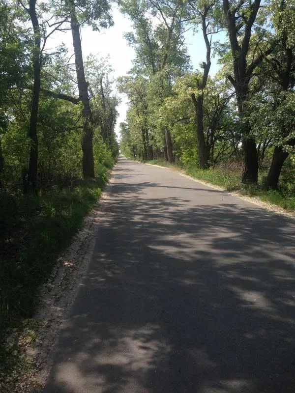 Продам участок 10 соток в Севериновке, 19 км от Киева 3