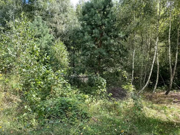 Продам участок 10 соток в Севериновке, 19 км от Киева 7