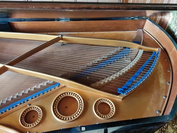 Антикварный рояль Bechstein 1896 г.в. 9