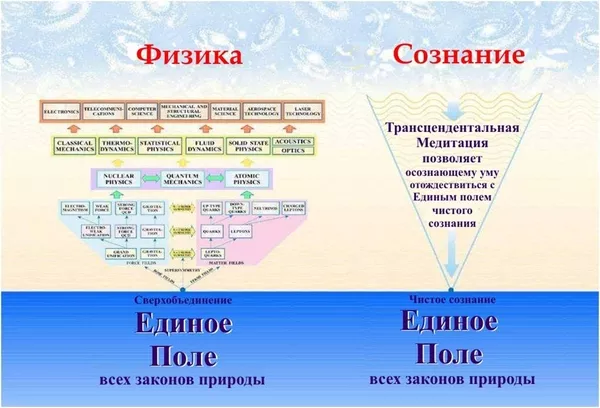 Трансцендентальная Медитация Развитие мозга 4