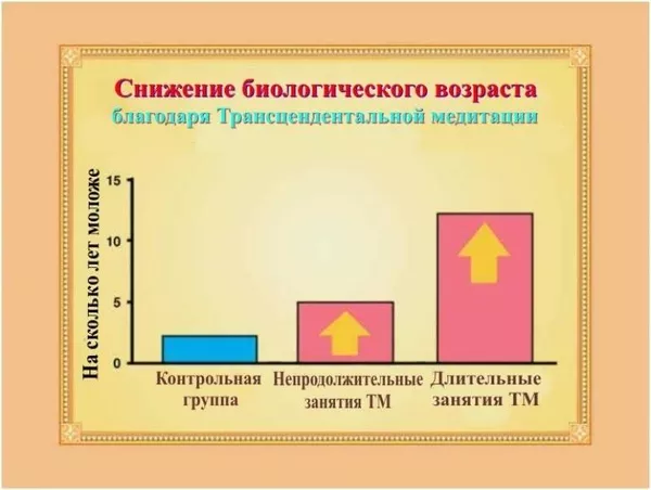 Обучение Трансцендентальной медитации эффективно 7