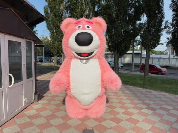 Медведь костюм для рекламы и развлечений 6